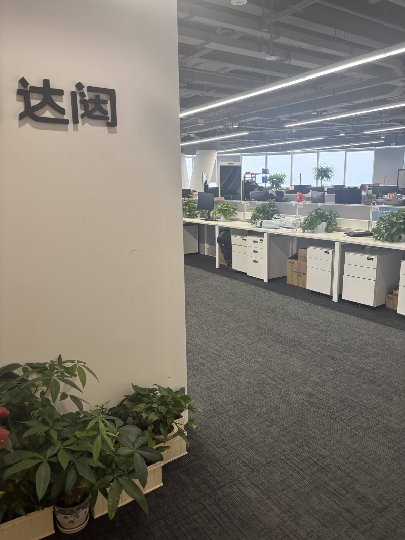 掌握蓝莓外汇新近动态，精准预测2025年美元汇率走势！